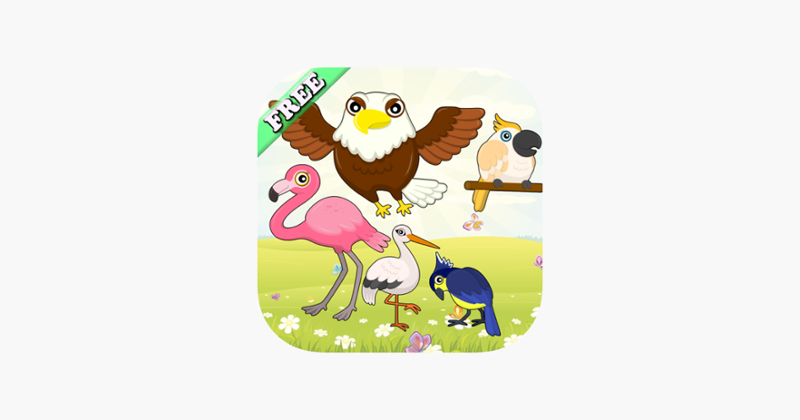 Flying Birds Match Games for Toddlers and Kids : discover the bird species ! FREE app Image