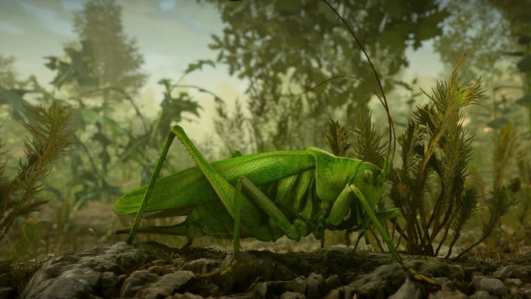 Insect Worlds screenshot