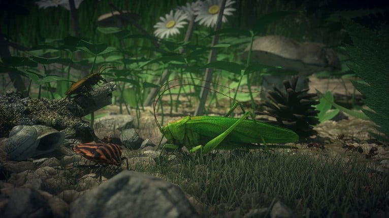 Insect Worlds screenshot