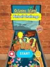 Pinball Challenge 3D Image