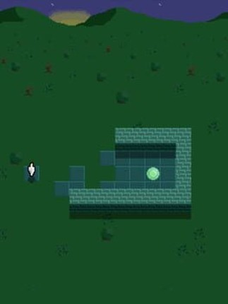 A walk in the night Image
