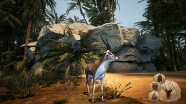 Animalia Survival Image