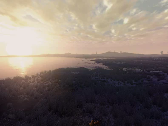 Wilderless Classic Image