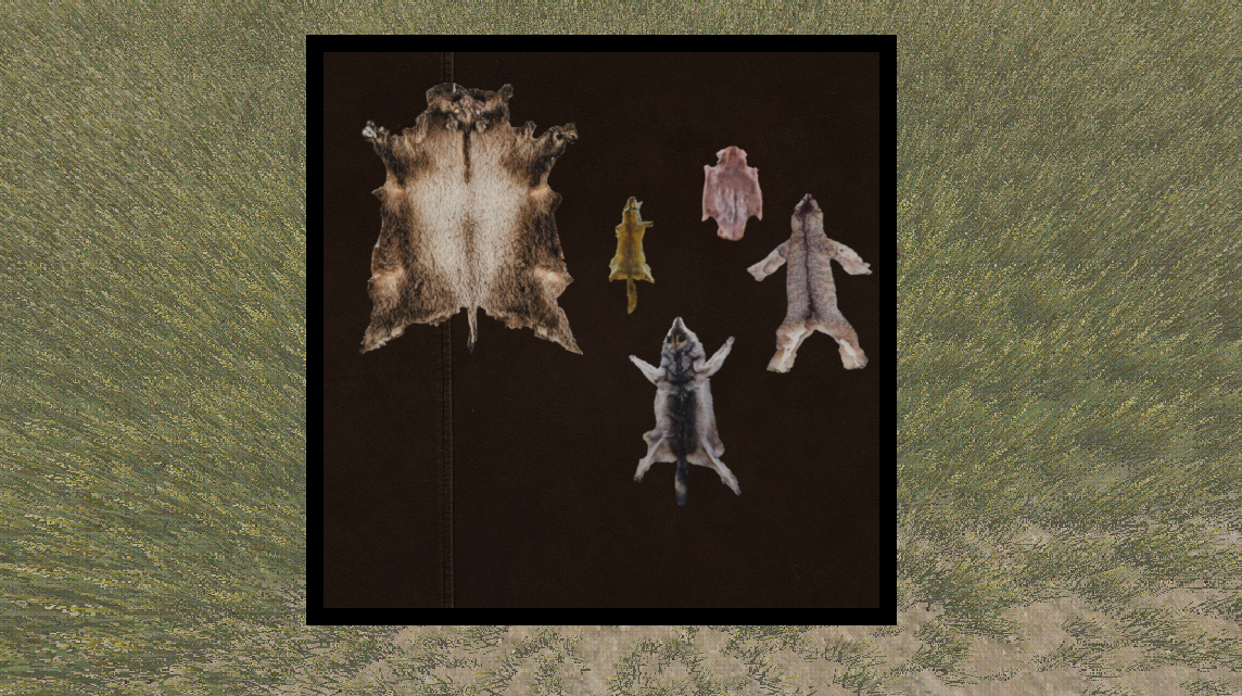 Games like Game Idea Involving the Fur Trade