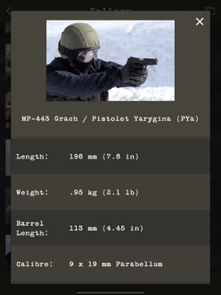 Guess the Modern Firearm screenshot