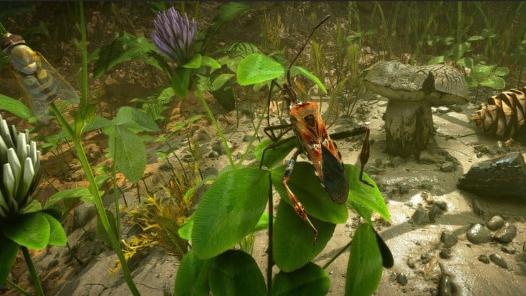 Insect Worlds screenshot