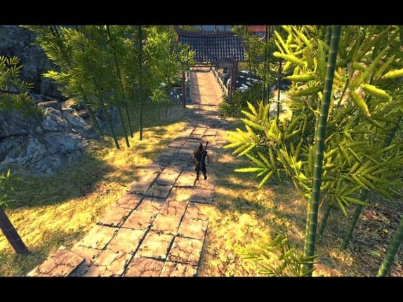 Ninja Combat : Samurai Warrior Image