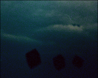 Games like Sanctuary