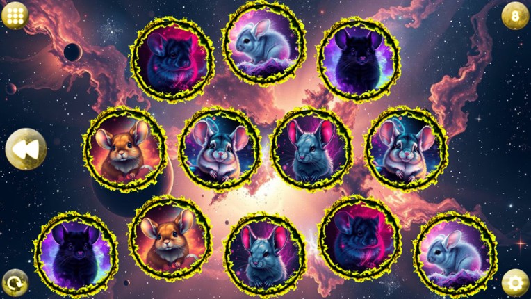 Space Memory: Chinchillas screenshot