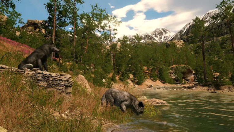 Capture The Wild screenshot