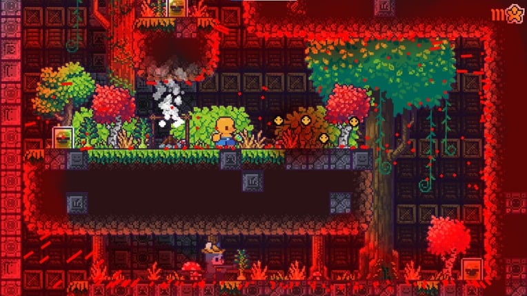 chinchillas attack again Image