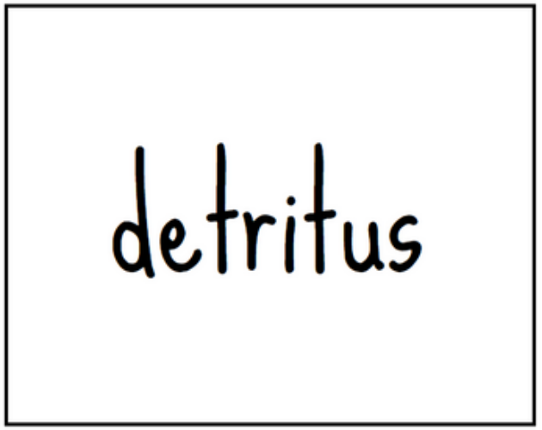 detritus Game Cover