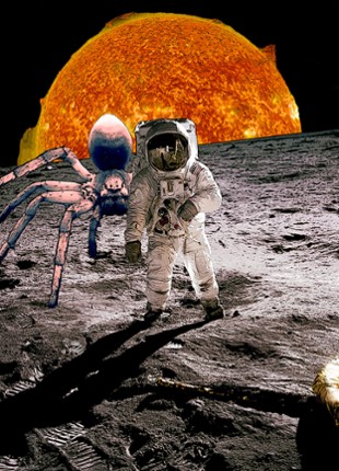 Under A Hostile Sun Image