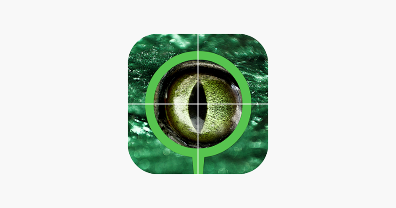 Best 2x2 Dinosaur Slide Puzzle Image