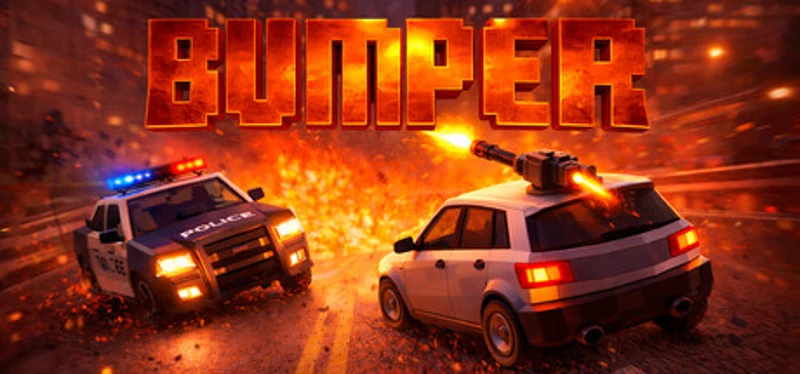 Bumper Image
