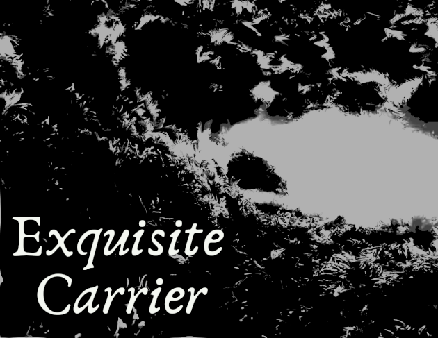 Games like Exquisite Carrier (or: Five of My Children In a Single Grave)