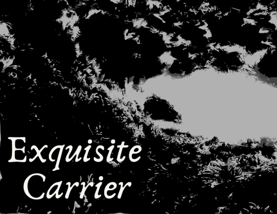 Exquisite Carrier (or: Five of My Children In a Single Grave) Image
