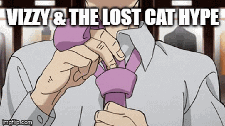 Vizzy & The Lost Cat Image