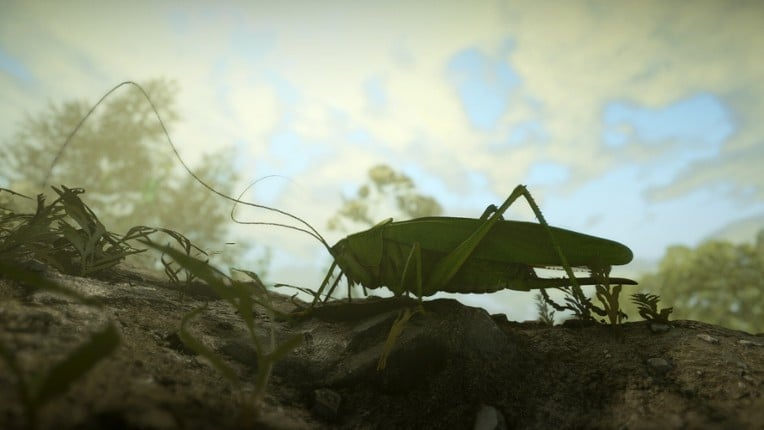 Insect Worlds screenshot