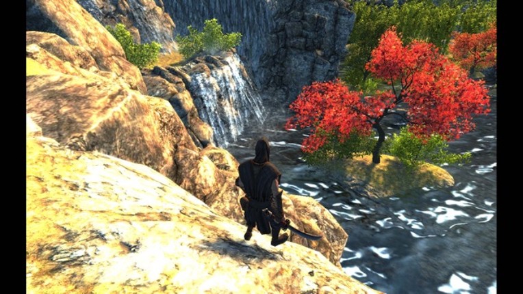 Ninja Combat : Samurai Warrior screenshot