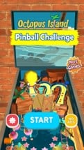 Pinball Challenge 3D Image