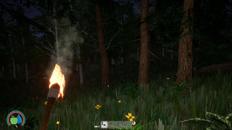 The Woods screenshot