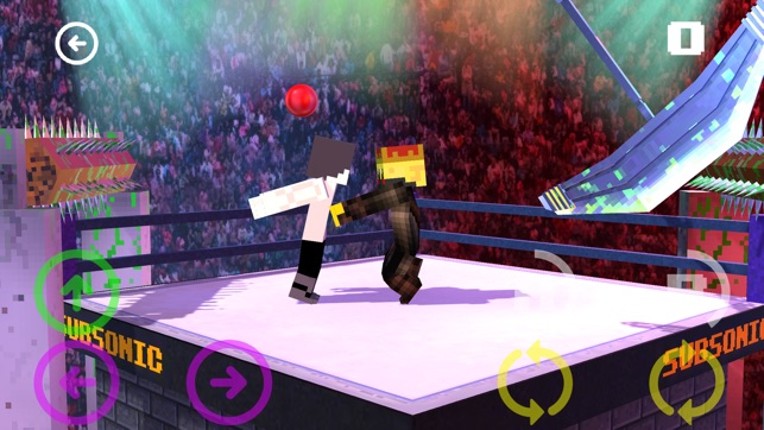 Block Wrestling Mania 3D - FREE Endless Wrestle Game in Cube world screenshot