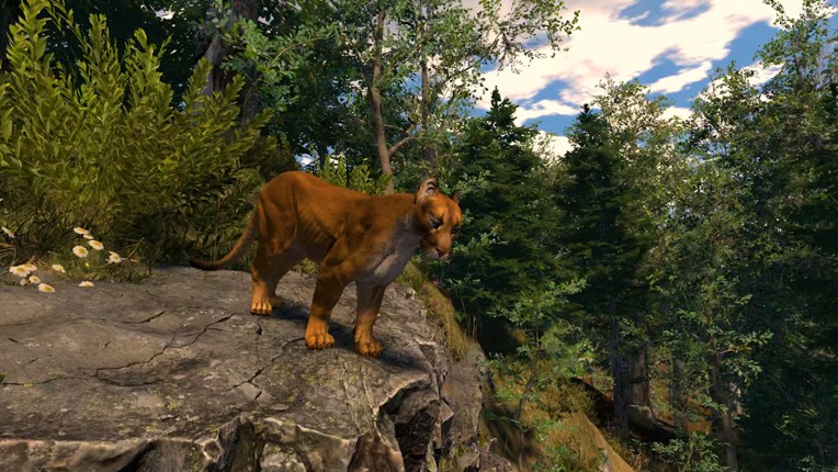 Capture The Wild screenshot