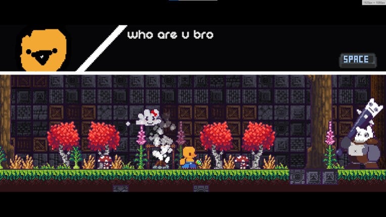 chinchillas attack again Image