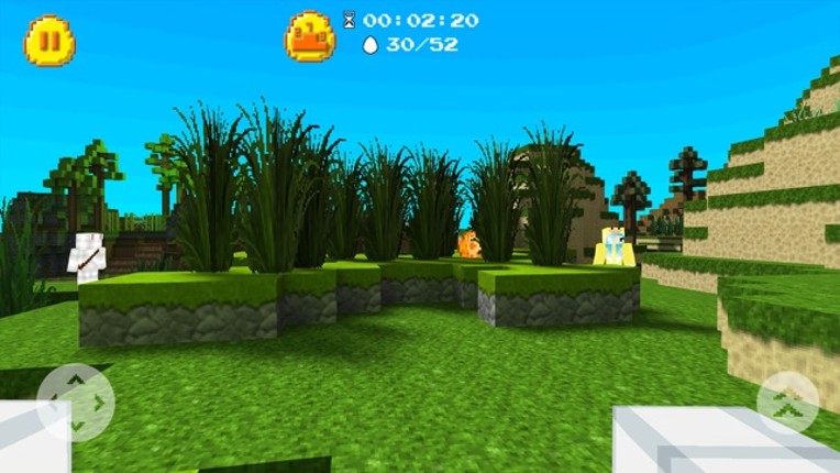 Easter Egg Hunt Image
