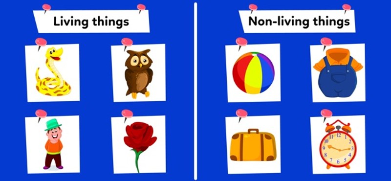 Kids Games for 1st &amp; 2nd Grade screenshot