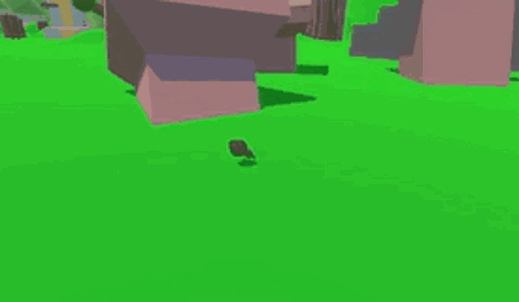Super Awesome Bird Exploration!!!!! Image