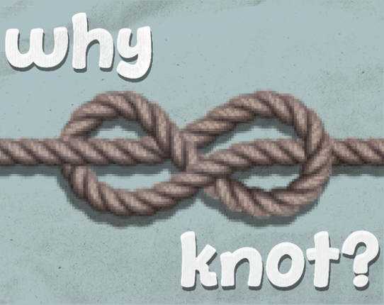 Why Knot? Image