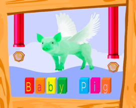 Baby Pig Image