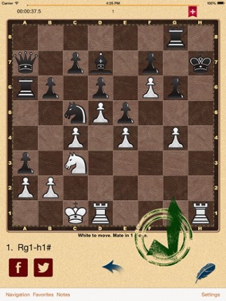 Mate in 1? OK! screenshot