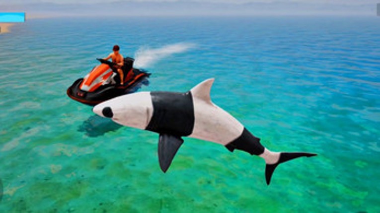 Shark Rage Hajara Image