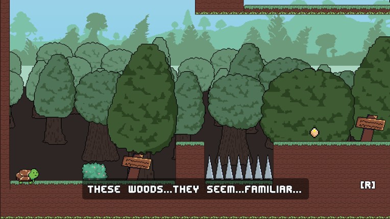 TurtleRun screenshot