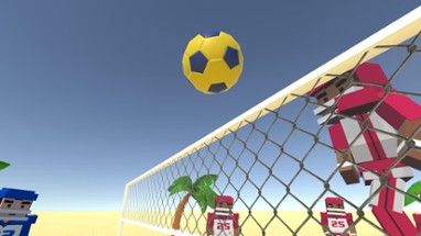 Volleyball Fever Image