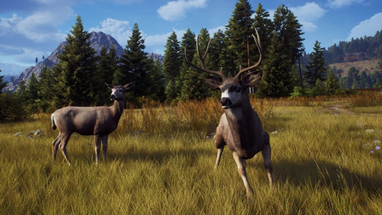 Way of the Hunter: Elite Edition screenshot