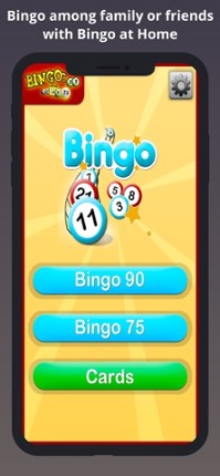 Bingo at Home Image