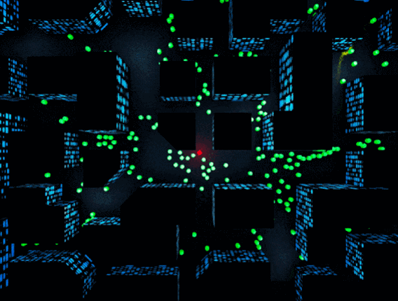 Crowd Image