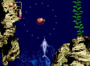 Ecco Jr. Image