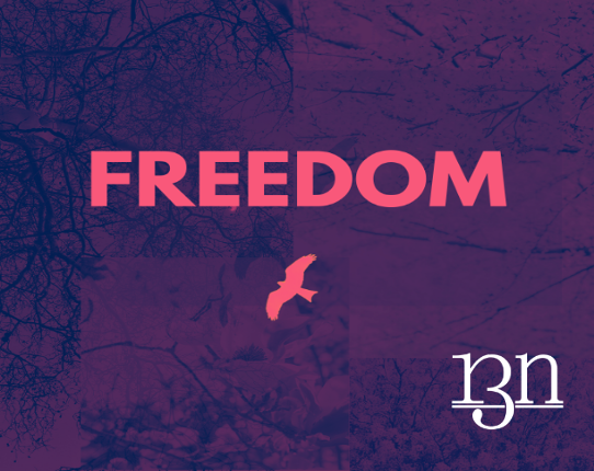 FREEDOM Image