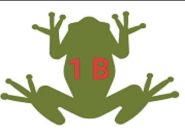 FROGGER 1button screenshot