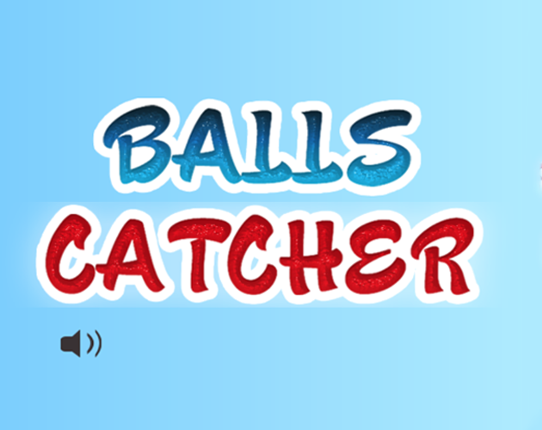 Balls Catcher Image