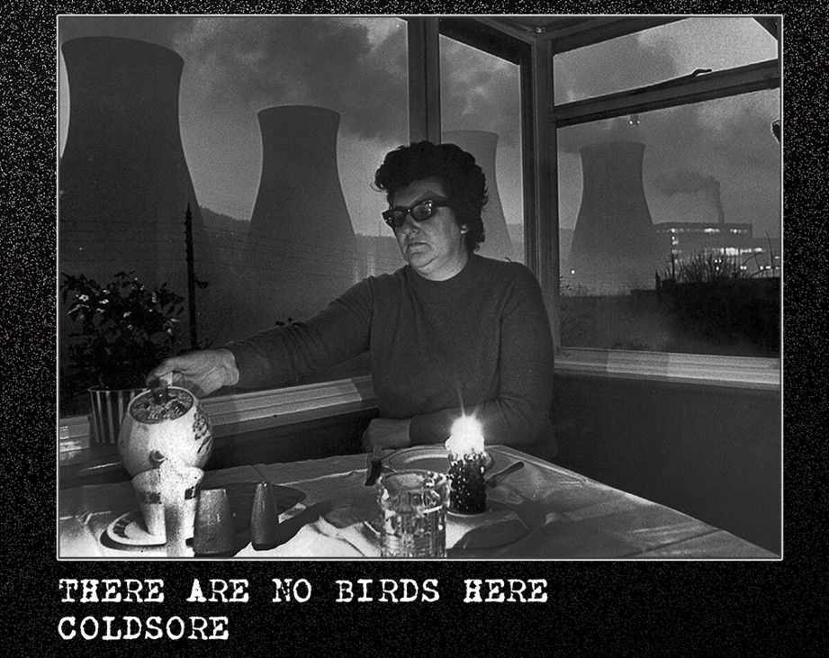 Games like THERE ARE NO BIRDS HERE / COLDSORE
