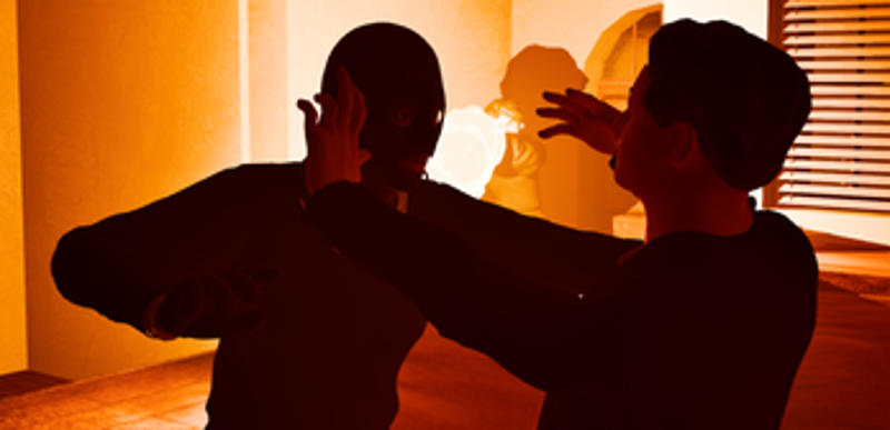 Mr Investigator screenshot