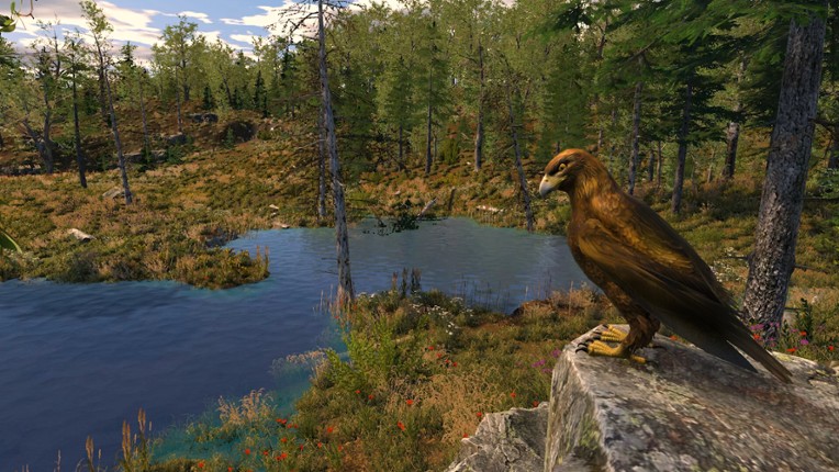 Capture The Wild Image