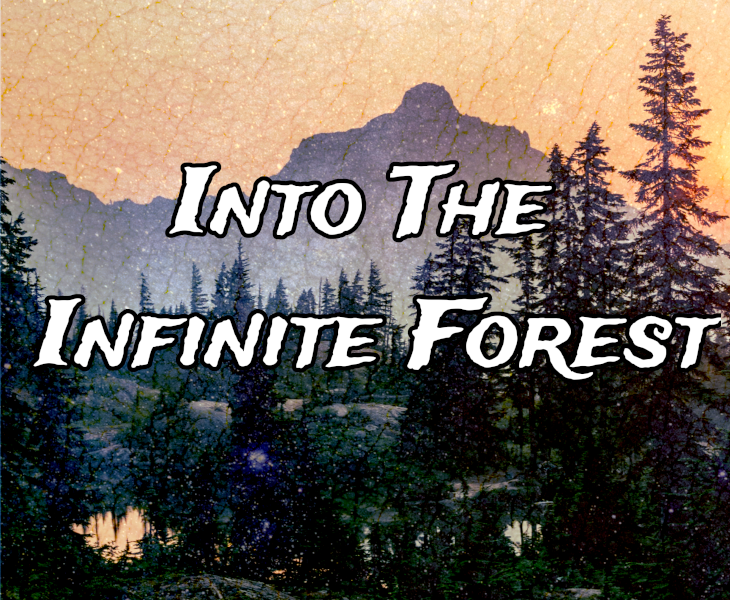 Games like Into The Infinite Forest