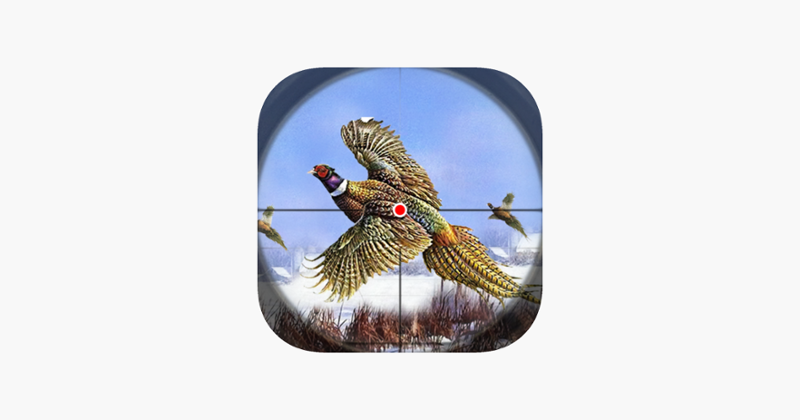 Pheasant Bird Hunting Game 3D Image
